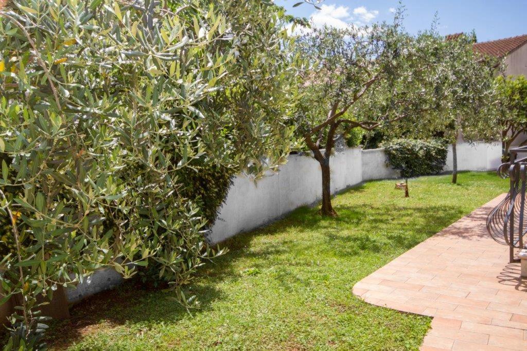 Villa Sveta Eufemija Bed End Breakfast I Rovinj Exterior foto